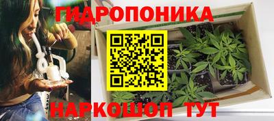крисы Краснокаменск
