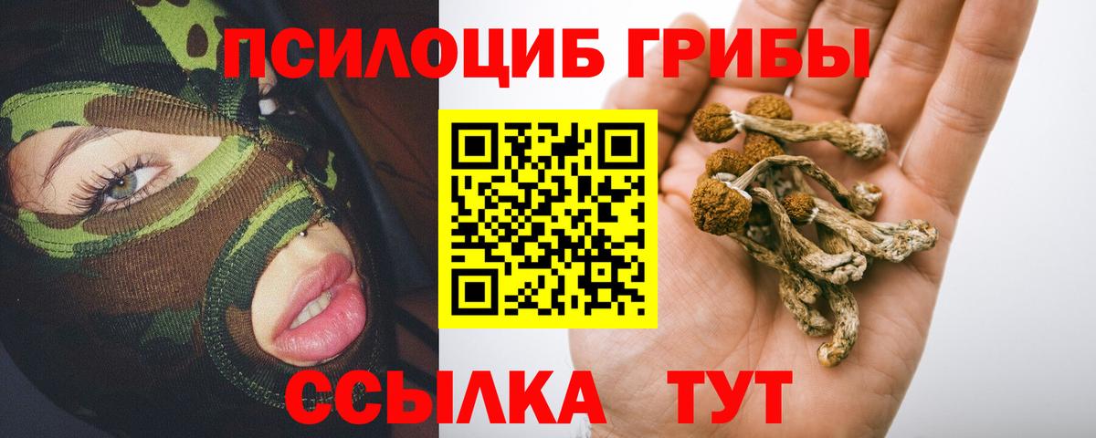 Галлюциногенные грибы Cubensis Красногорск